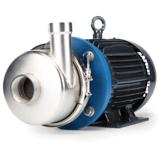 AC6SJS2V520B011805 Finish Thompson FTI AC Series 316SS Pump