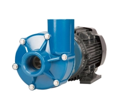 Finish Thompson Pump with motor GP11PVB01455C13