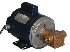 Oberdorfer Pump N305M-08