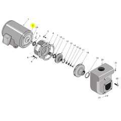 Berkeley Pumps U9-265 Repair Part