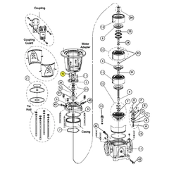 Goulds 13L127 SCREW, MOTOR ADAPTER