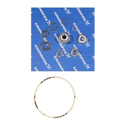 Grundfos Pumps 98455535 MTH Series Shaft Seal Kit