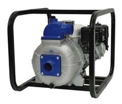 IPT Pump Model Number 3S5XHR