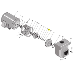Berkeley Pump C43-46 Water System Parts