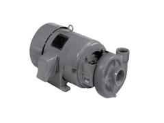 MP Pumps 31159, Series 200 Standard End Suction Centrifugal Pump
