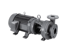 MP 29170 Pump Series 300