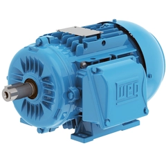 WEG 00218ET3EAL100L-W22 IEC TRU-Metric Motor