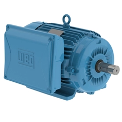 WEG 01018ES1E215T-W22 General Purpose Motor