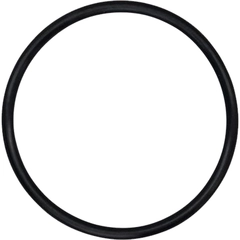 02-1372-51 Wilden Pumps O-Ring AODD Spare Part