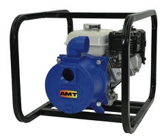 IPT Pump Model Number 3930-D5