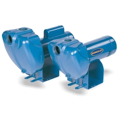S40094MS2-01 Berkeley Pentair LTH Series Pumps LTH-3