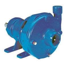 6BFFRMF0-H11A32E5BE2S Goulds Pumps 3756 S-Group Frame Mount