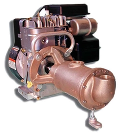 Oberdorfer Pump 111