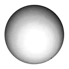 00-1080-03 Wilden Pumps Valve Ball AODD Spare Part