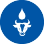 Livestock Watering